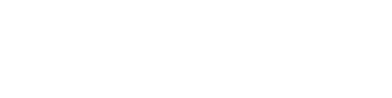 Rays Logo