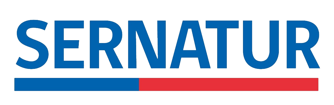 Partner 4